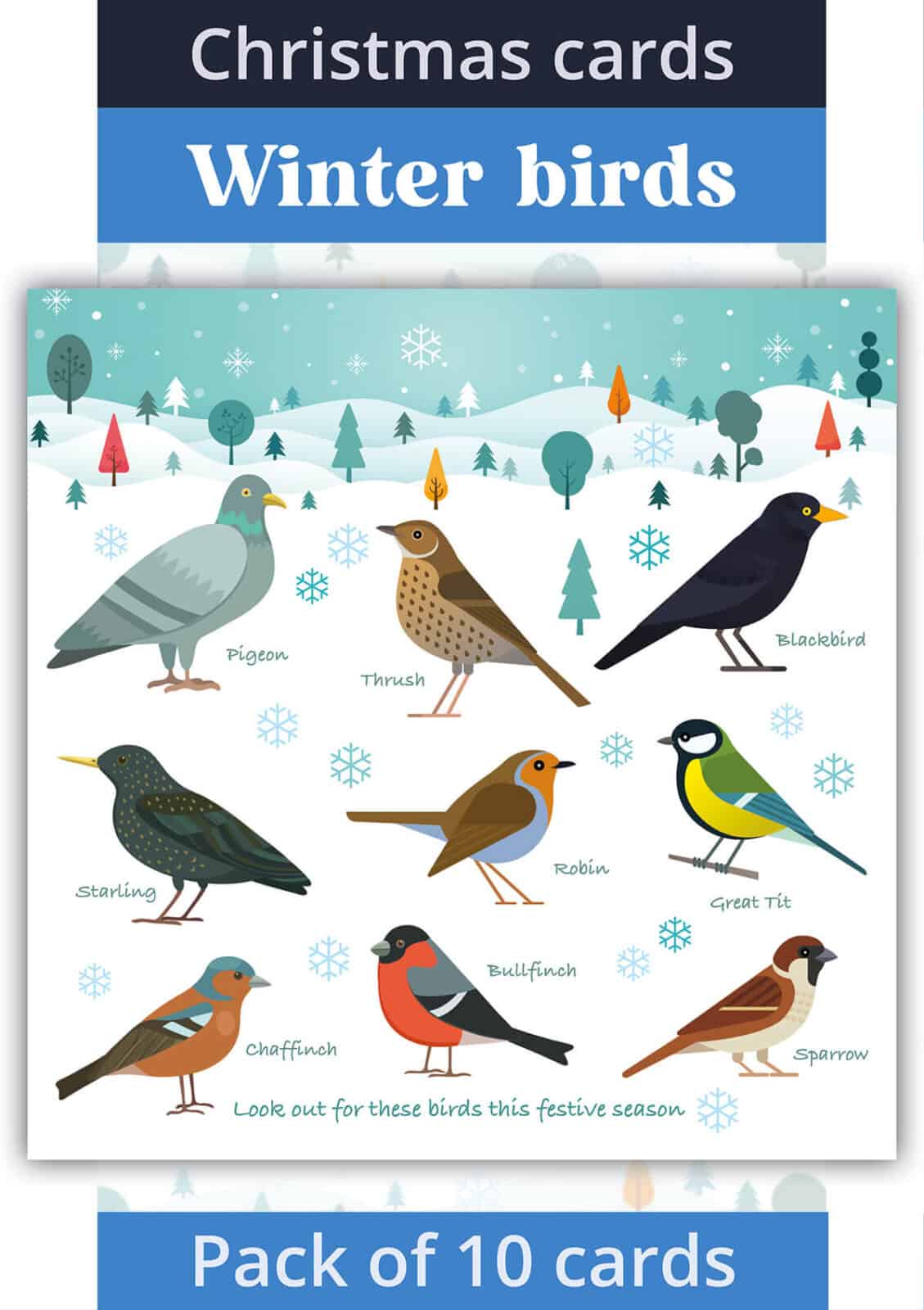 christmas cards winter birds