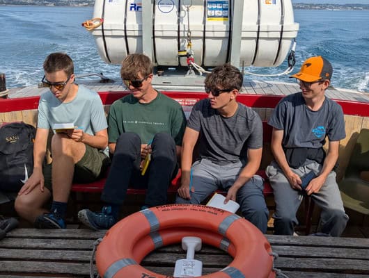 Four boys on the back of a boat