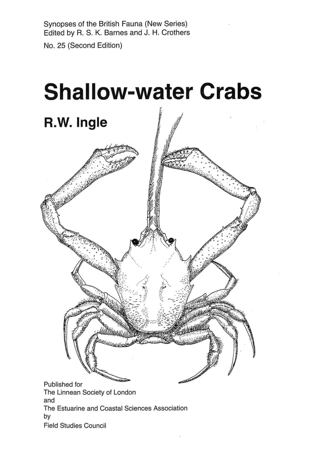 shallow water crabs