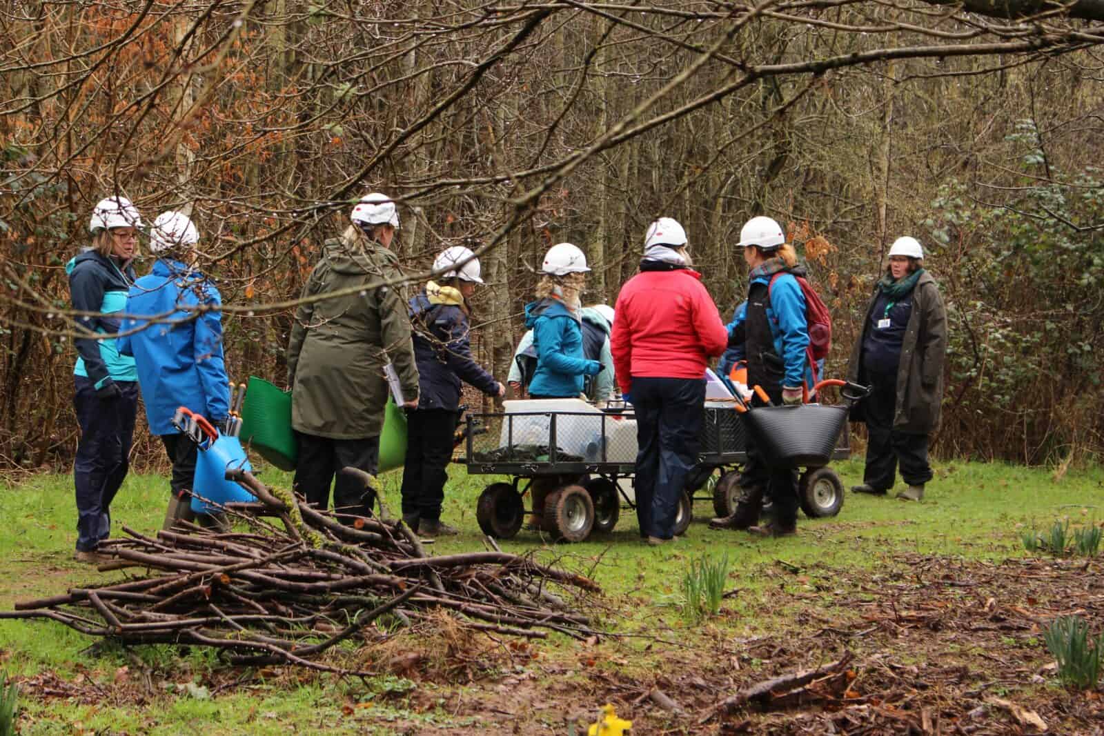 A class of teachers follow a demonsration for forest school and wood collecting