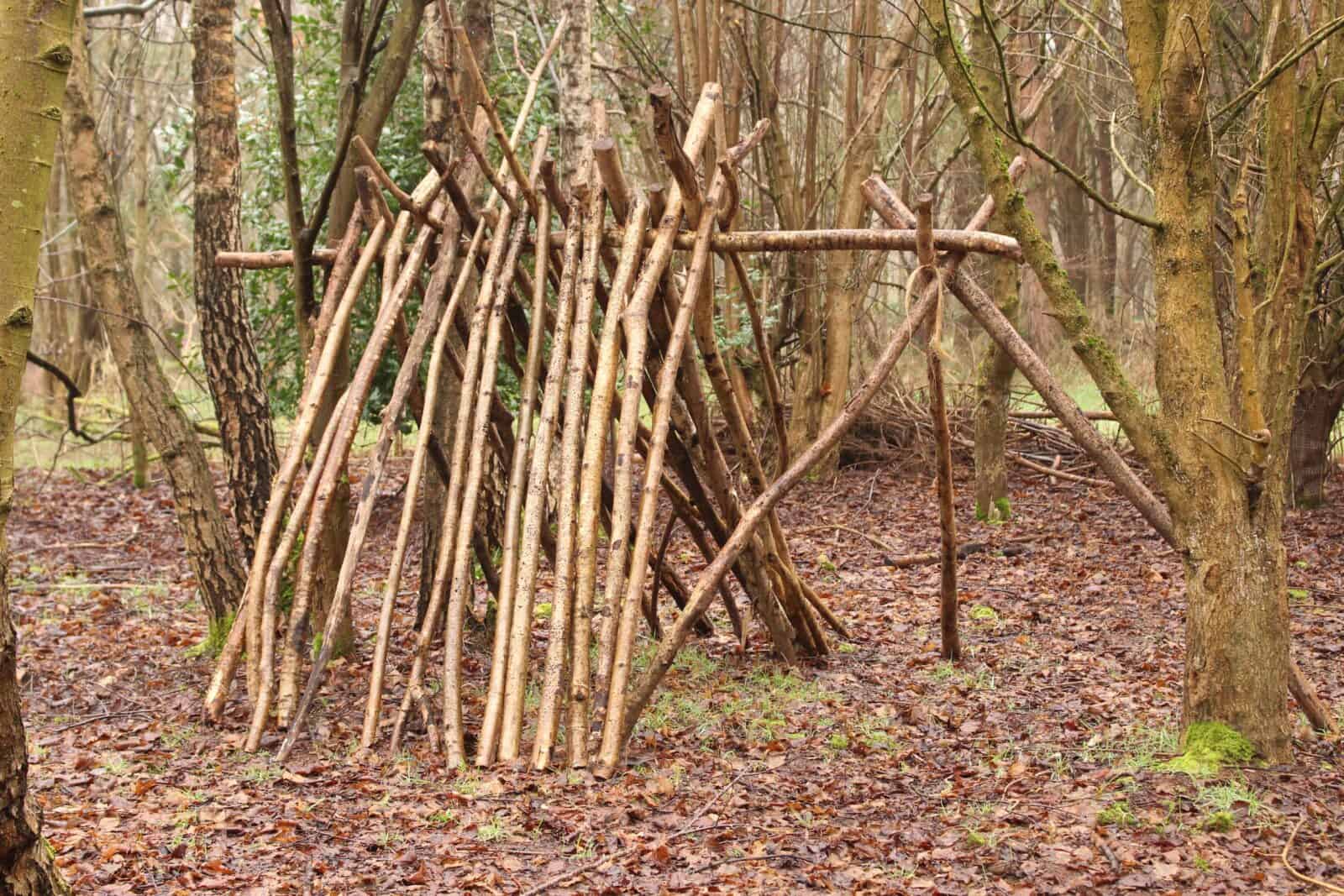 A shelter of branches, half buit in the woods