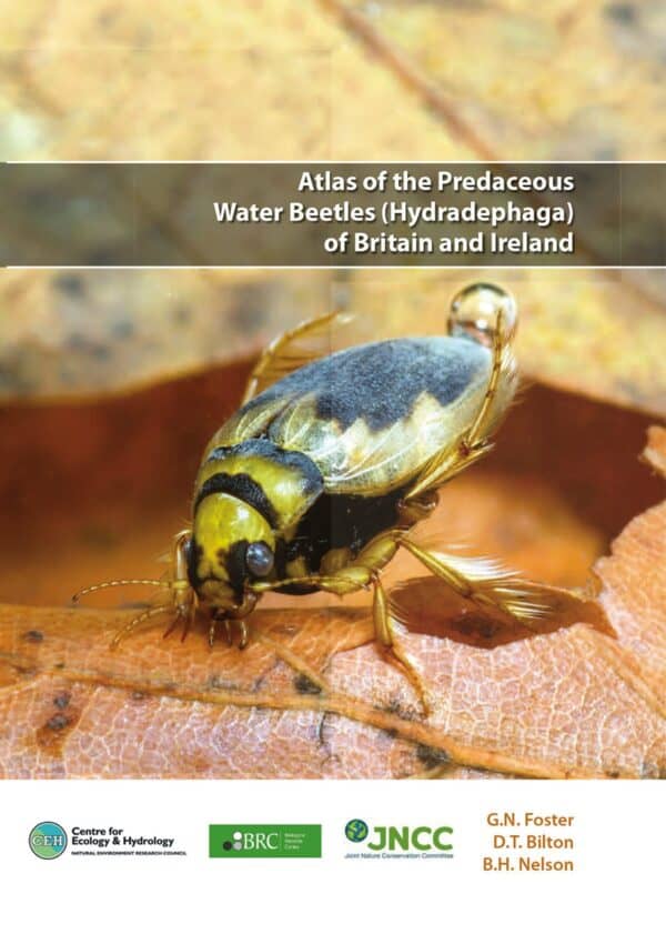 water beetles atlas 1