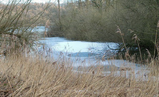 carsington water