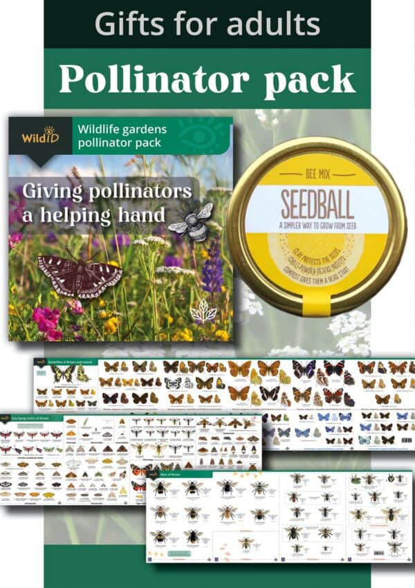 pollinator pack