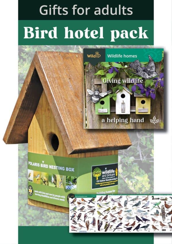 bird hotel pack