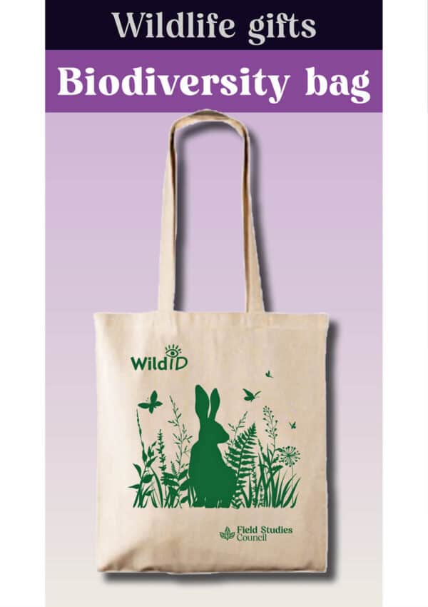 biodiversity bag
