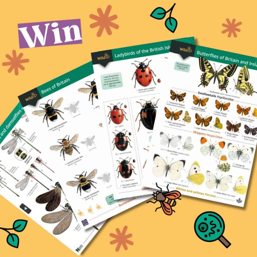WIN and an image of four fold out wildlife guides