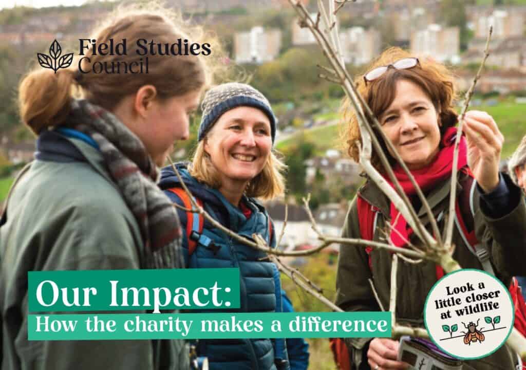 front cover of Impact Report - three women studying a tree and smiling
