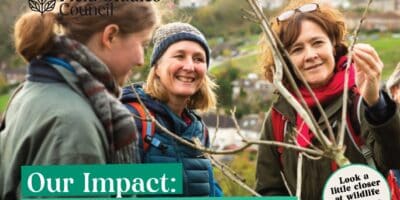 front cover of Impact Report - three women studying a tree and smiling