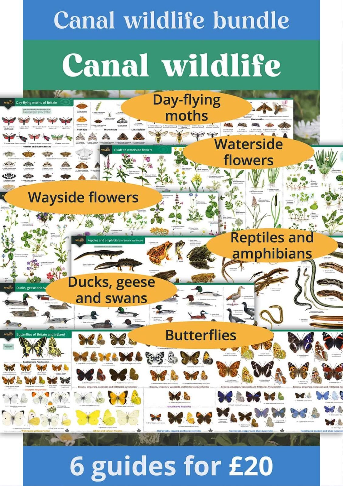 Canal wildlife bundle