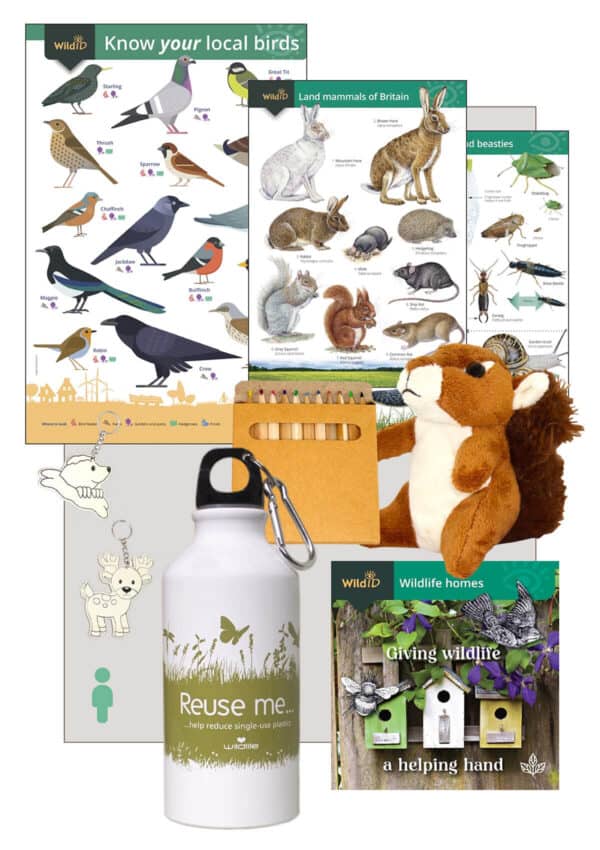 Wee watchers wildlife pack