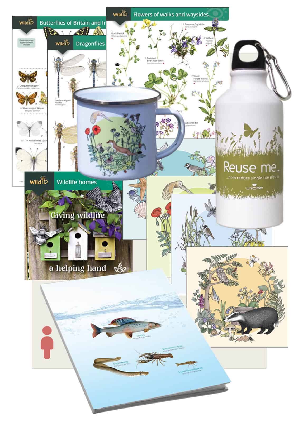 Wildlife watchers pack