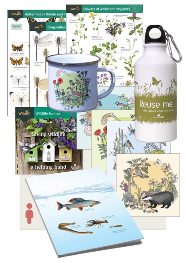 Wildlife watchers pack