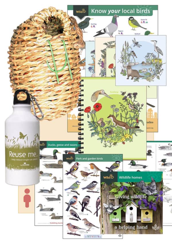 Birds wildlife pack