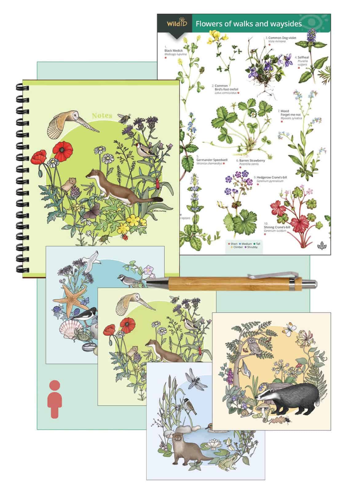 Letterbox wildlife pack