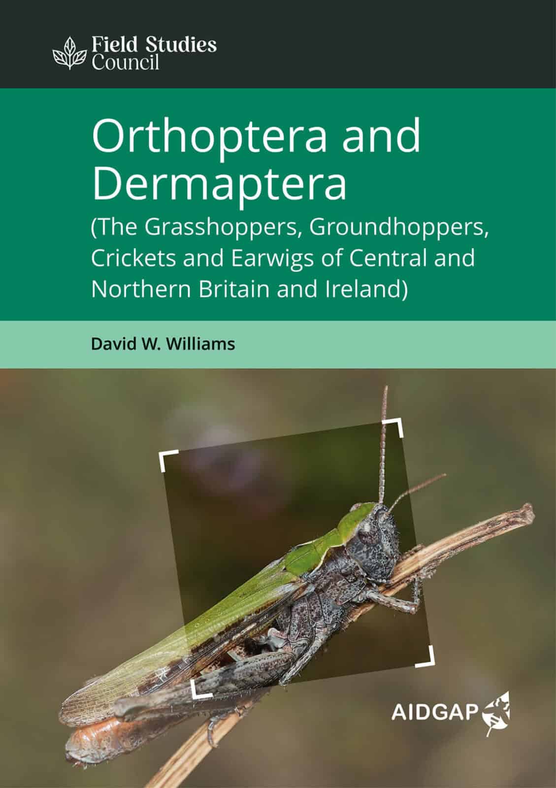 orthoptera and dermaptera
