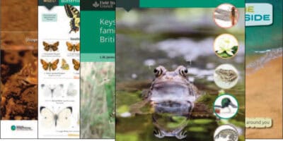 Full list of publications