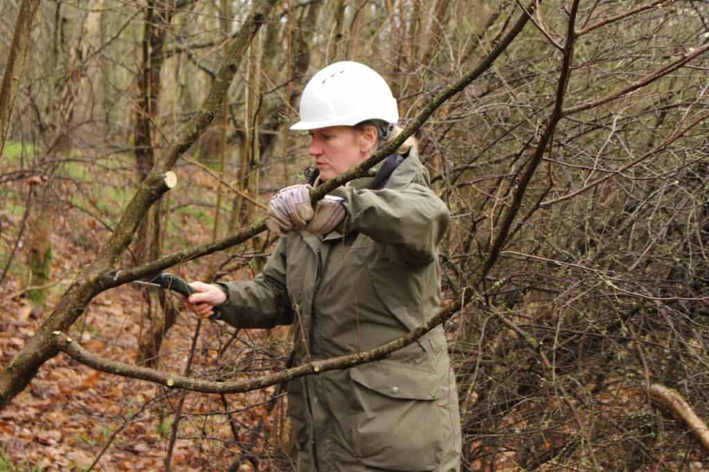 Introduction to Forest School Day (Level 3) – Field Studies Council