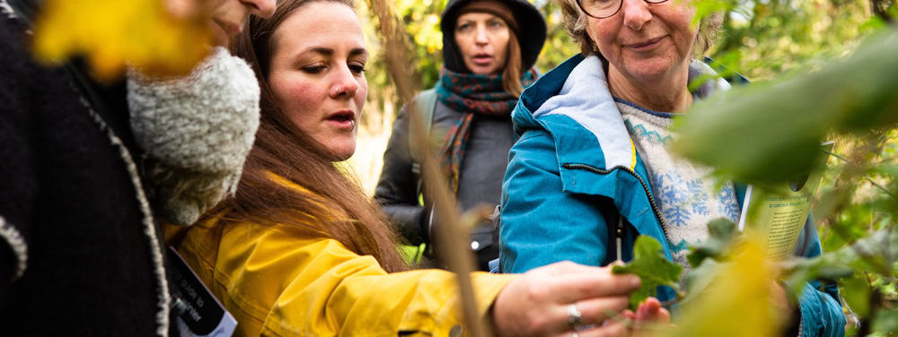 group looking at a leaf