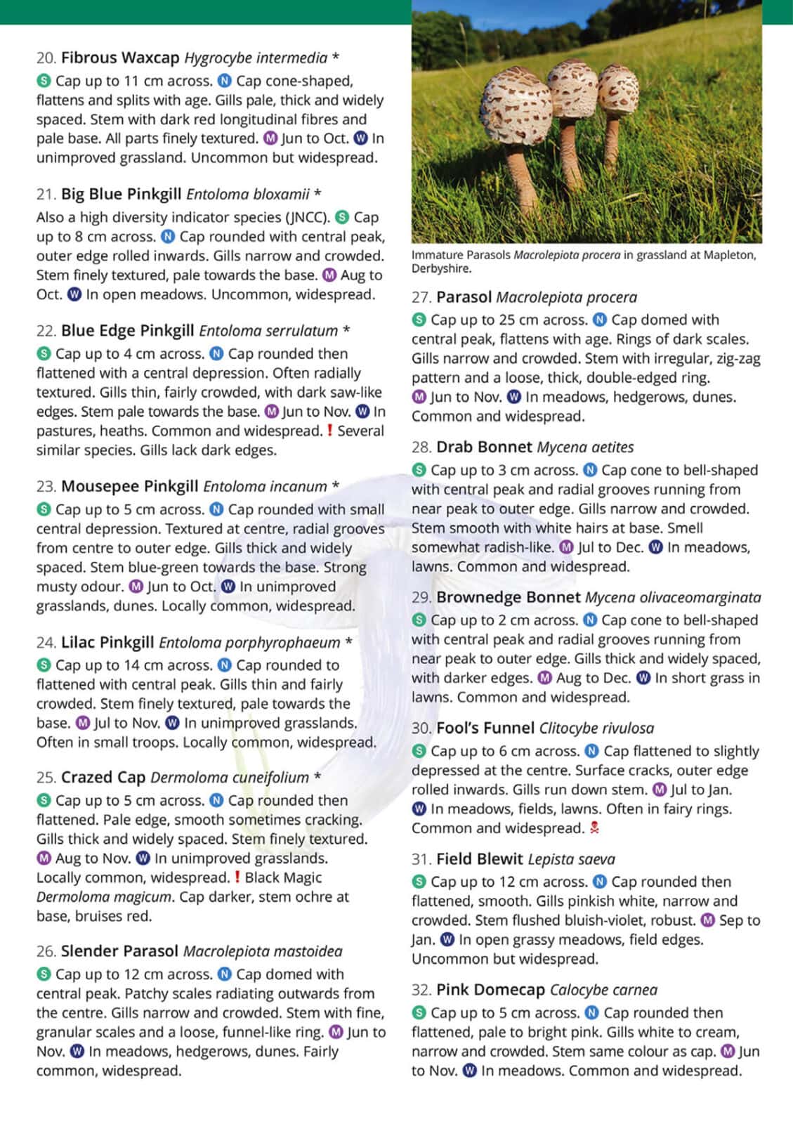 Distinctive grassland fungi