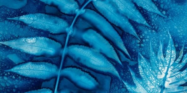 A blue print - Cyanotype Sun Printing Masterclass