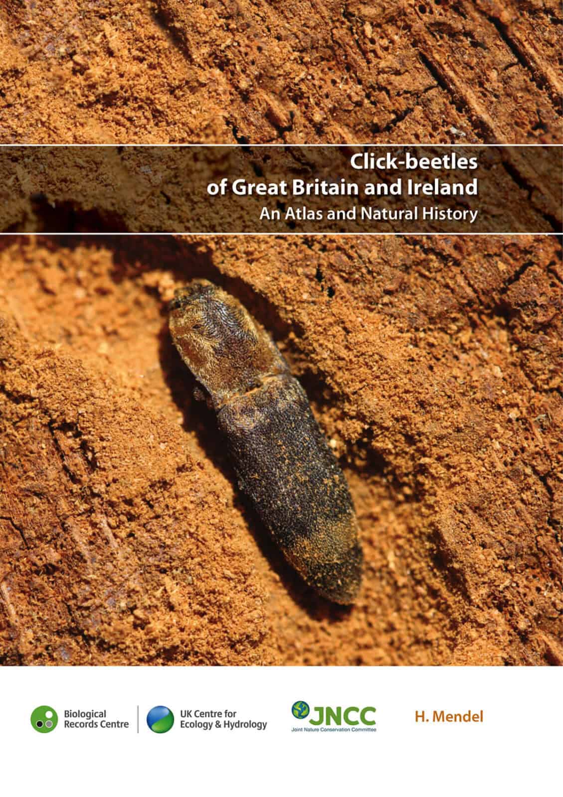 Click beetles atlas cover