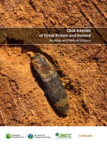 Click beetles atlas cover