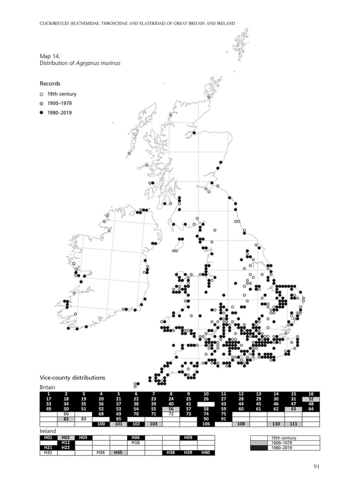 Click beetles atlas inside page