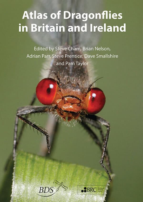 Dragonflies atlas