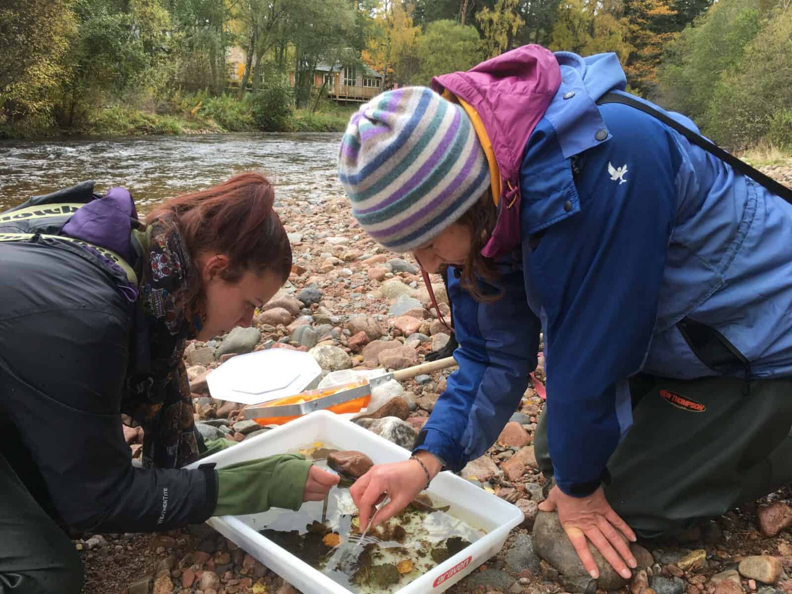 Hand Sampling Invertebrates Freshwater Invertebrates: Ecology, Conservation and Identification- HAU ...