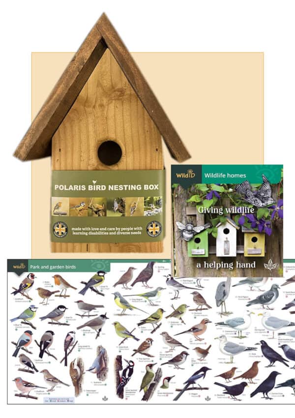 Bird-hotel-pack