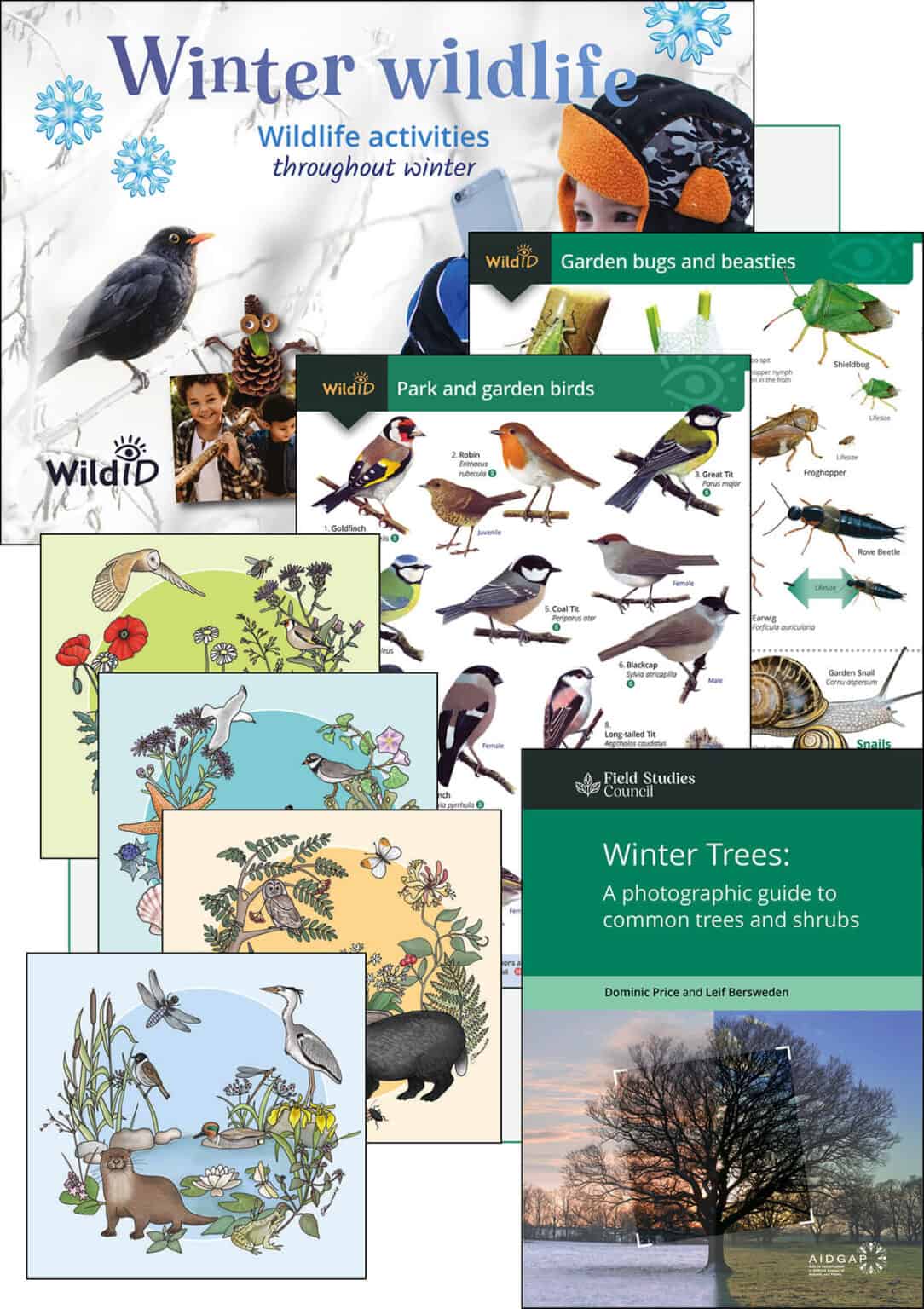 Gardeners' Christmas wildlife box Field Studies Council