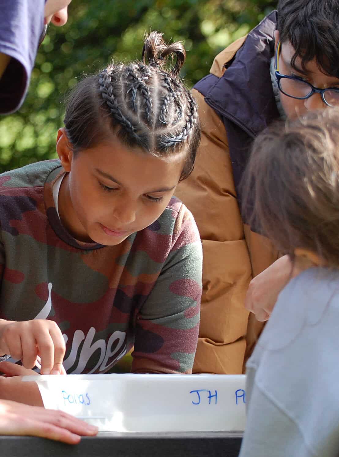 primary children looking at pond dipping tray