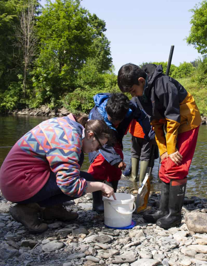 children river dipping