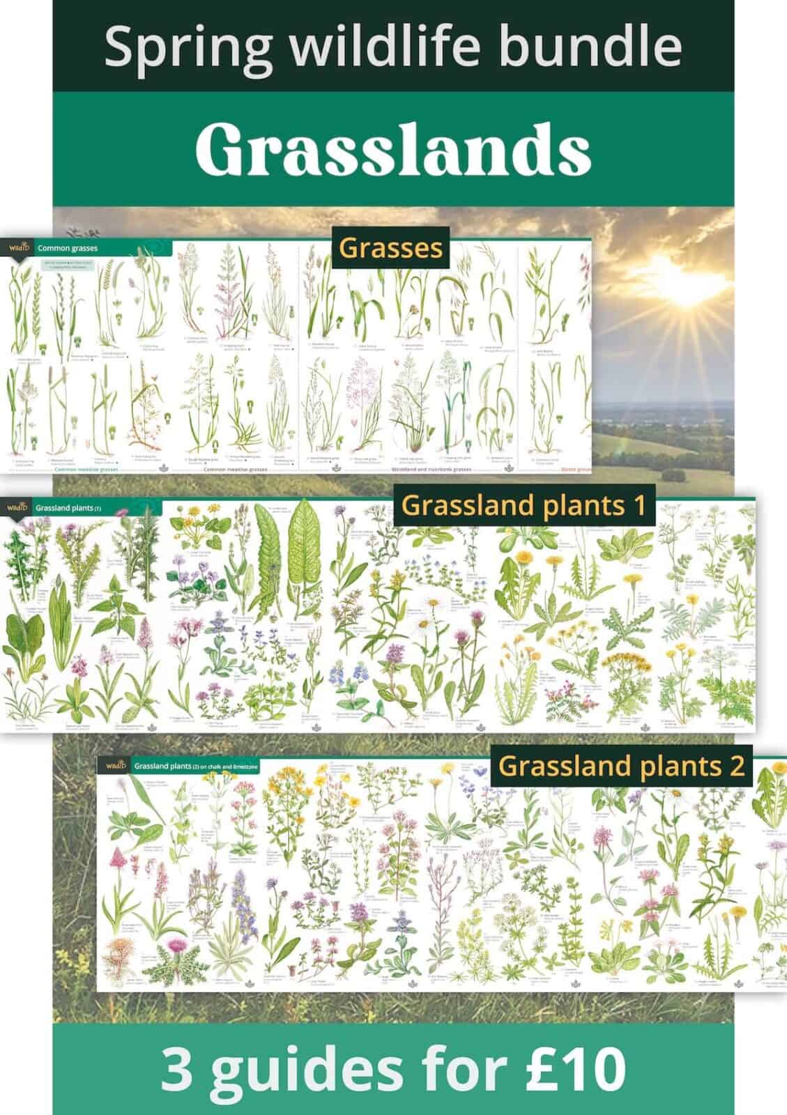 grasslands bundle