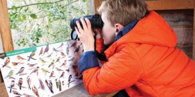 Boy looking through binoculars in bird hide