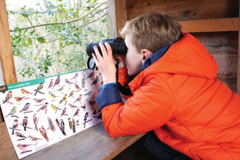 Boy looking through binoculars in bird hide