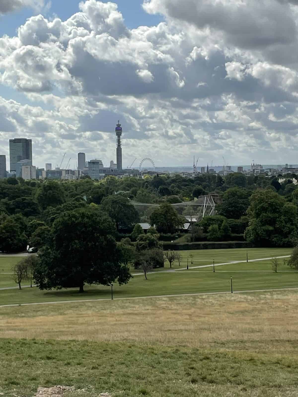 London view from Primrose Hill