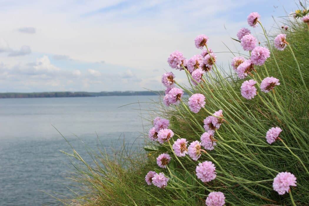 Biology Resources – Field Studies Council