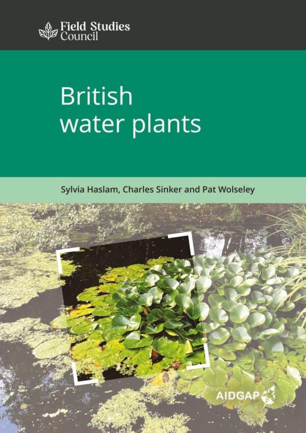 water plants