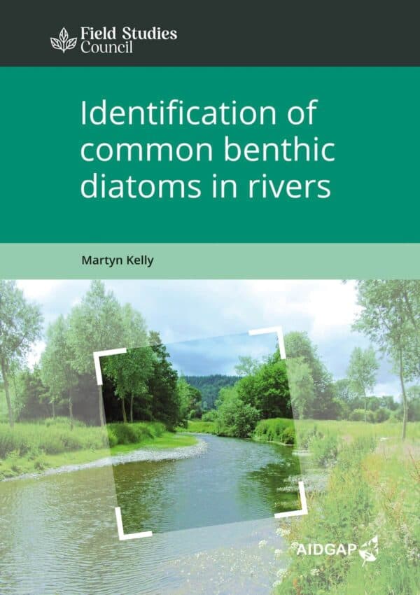 diatoms