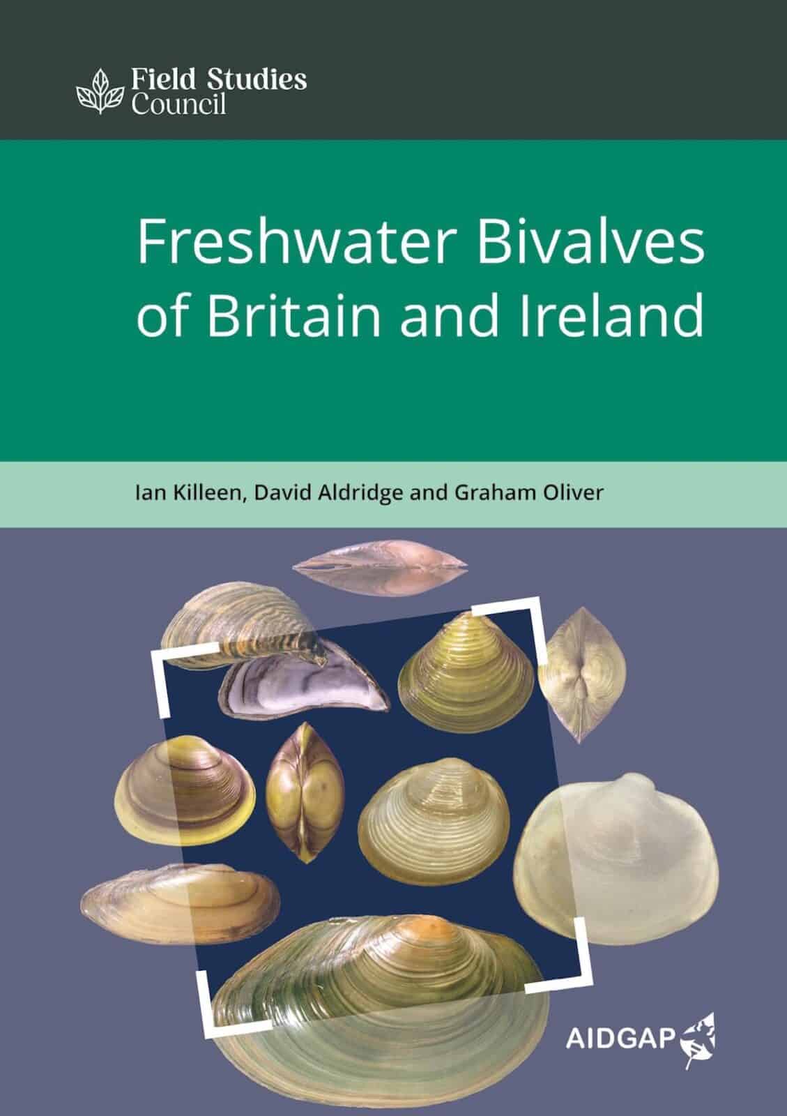 freshwater bivalves aidgap