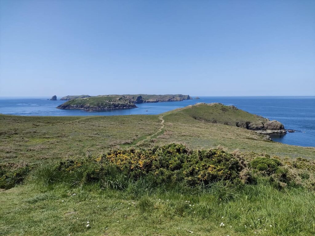 Coastal view from the Lookout Station at Martin's Haven Deer Park, Pembrokeshire