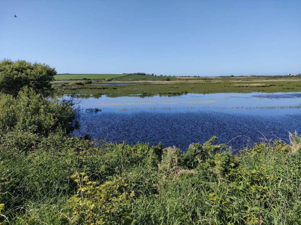 Marloes Mere, Pembrokeshire