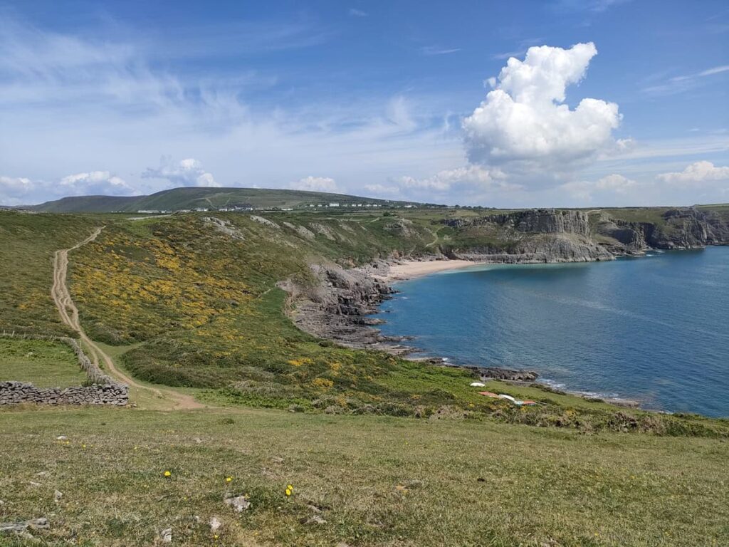 Gorse slopes above Fall Bay, Pembrokeshire, home to Dartford Warbler