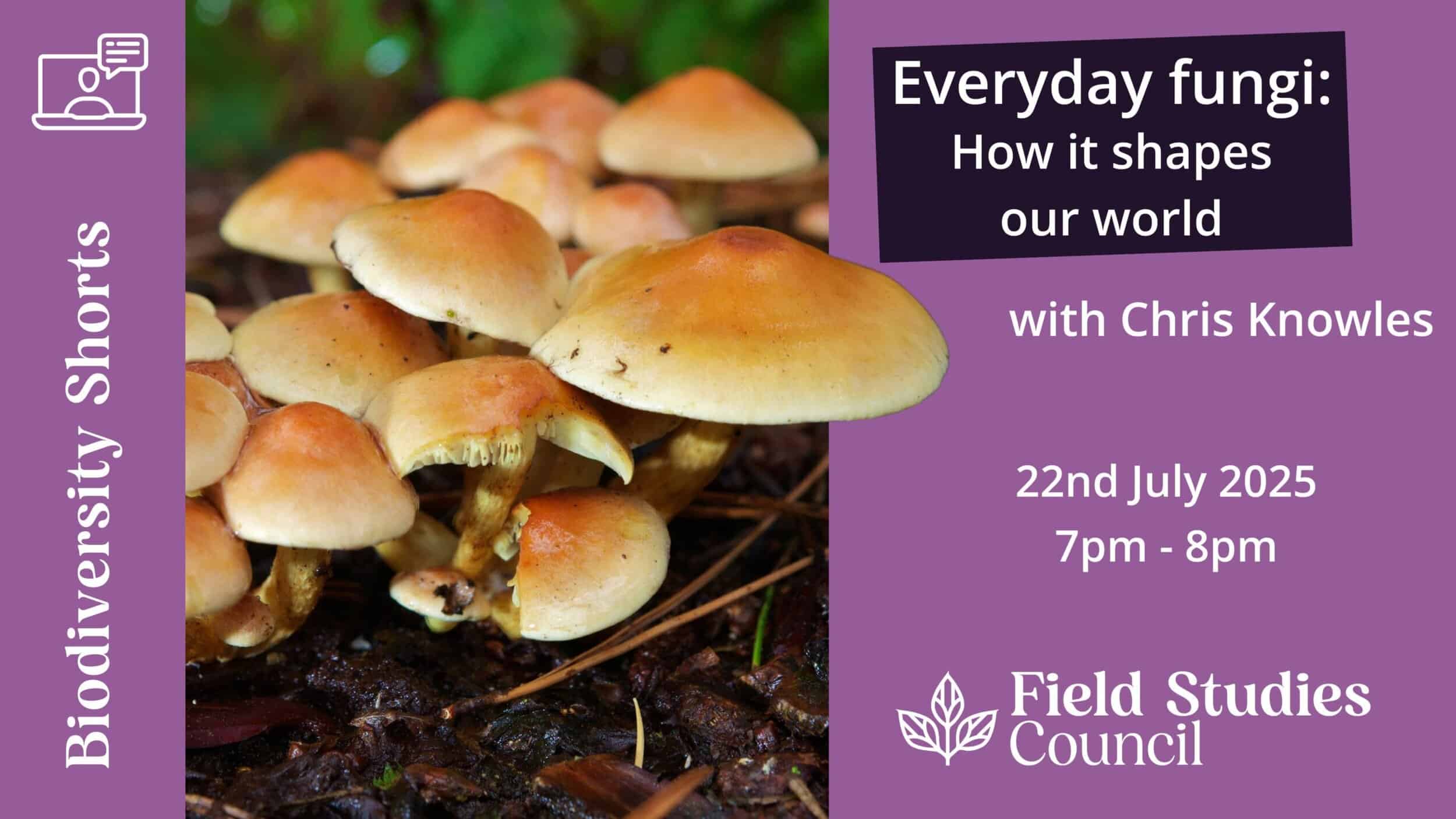Promo image for fungi webinar