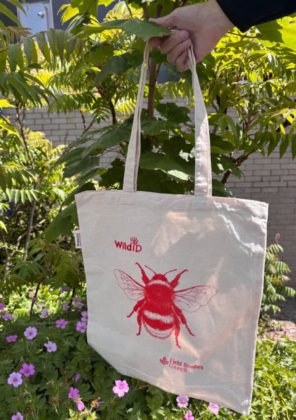 Bumblebee bag