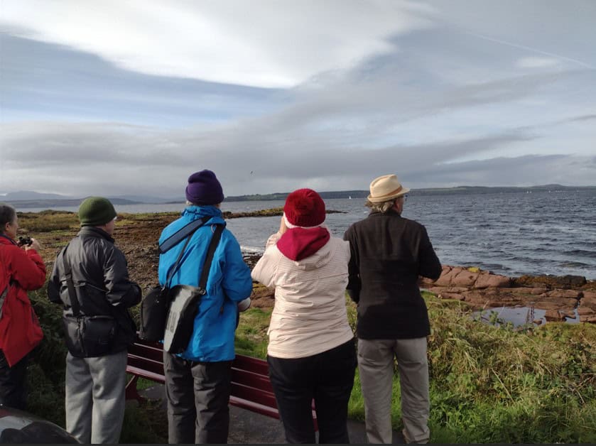 Birdwatching workshop on the north of Cumbrae