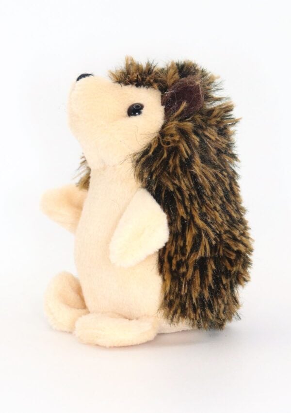 hedgehog