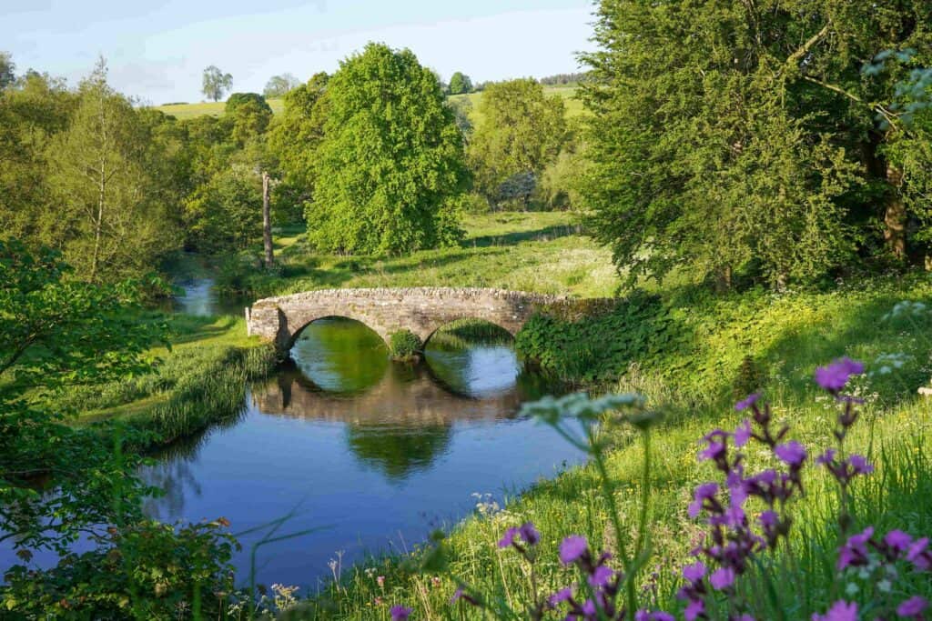 The beautiful river than runs through the park, with the old bridge, greenery and wildlife.